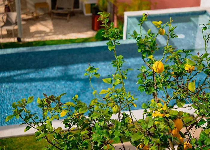Jardim Da Lapa By Shiadu